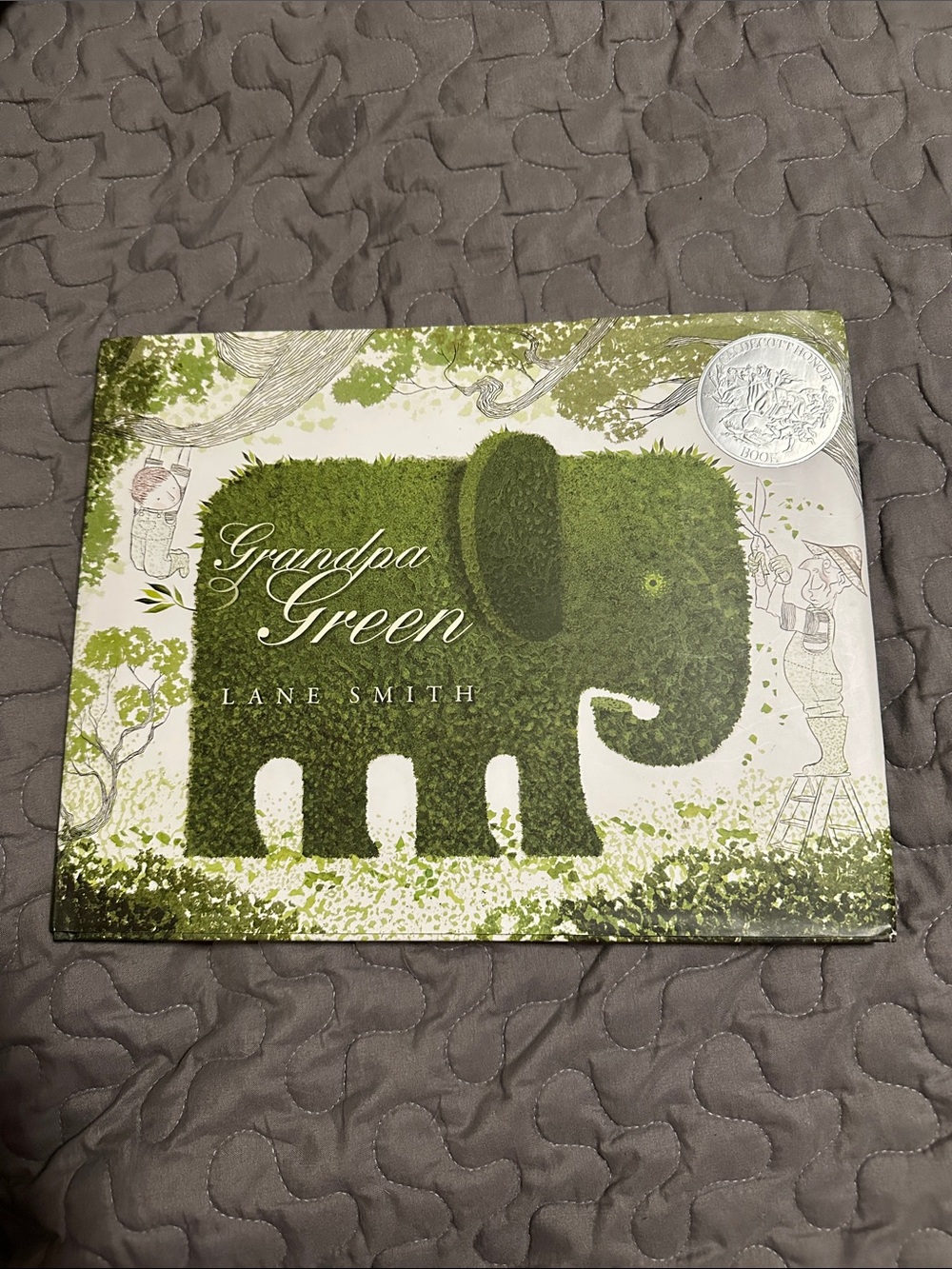 Elaine Smith Grandpa Green Illustrated Hardcover — Green Elephant Cover
